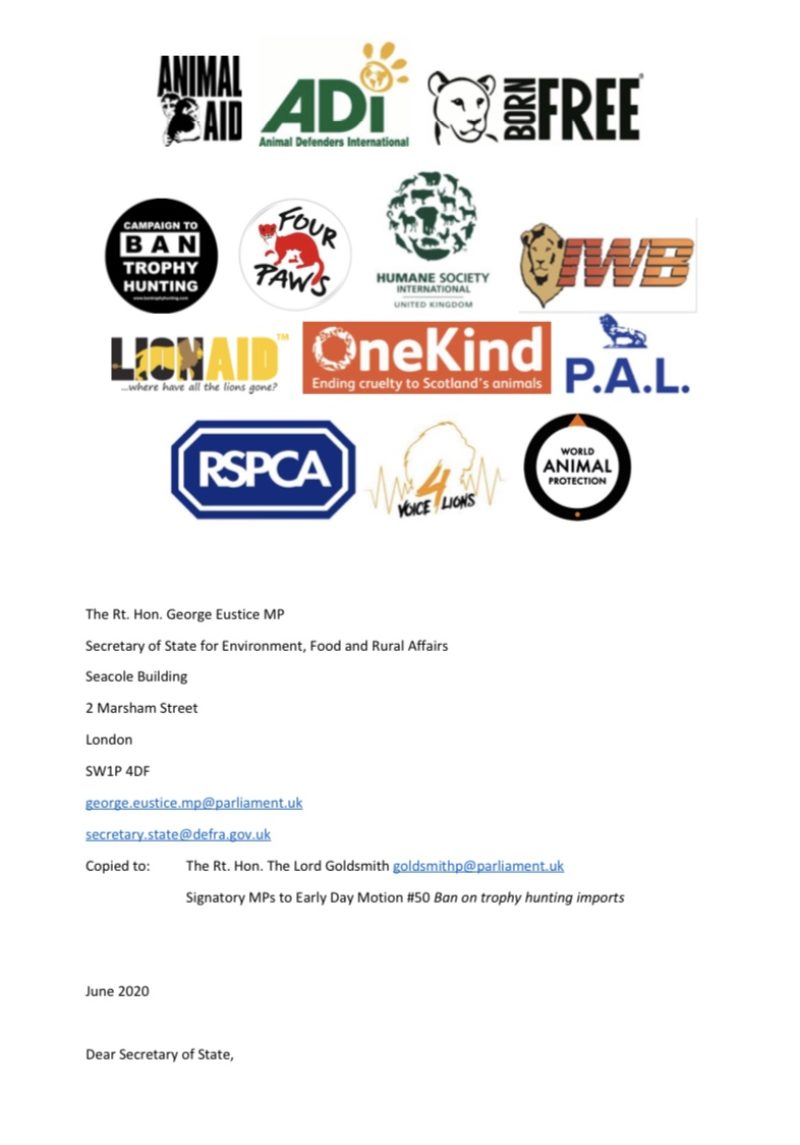 The letter sent on behalf of 13 organisations