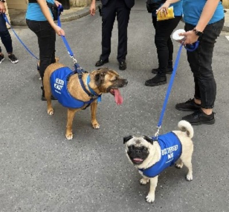Battersea reception in Parliament